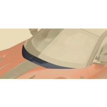 Mansory Listwa na masce 12Cilindri