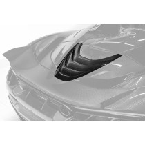 Topcar Obudowa silnika 720S