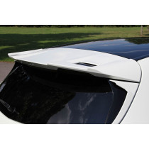 Carlsson Tylny spoiler A W176