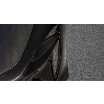 Novitec Obudowy przednich świateł Artura