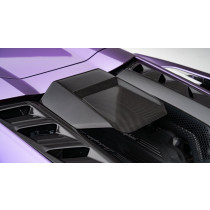 Novitec Górny wlot powietrza Revuelto