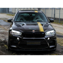 Manhart Maska X6 M F86