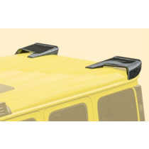 Mansory Spoiler dachowy G W465