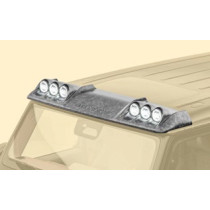 Mansory Spoiler dachowy G W465