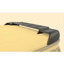 Mansory Spoiler dachowy G W463A