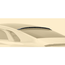 Mansory Spoiler dachowy Spectre