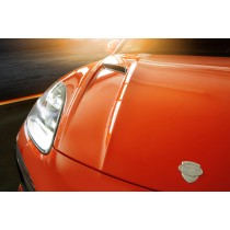 TechArt Maska Cayenne 9YA