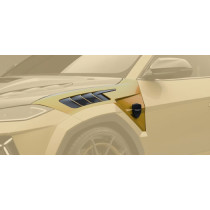 Mansory Przednie nadkola III Urus