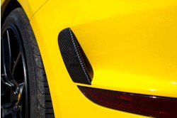 Novitec Wyloty powietrza w tylnym zderzaku California T