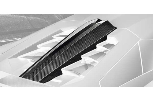 Hamann Wlot powietrza do silnika Aventador