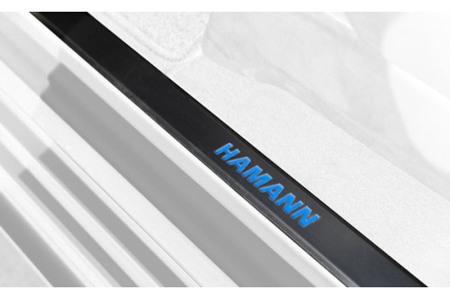 Hamann Listwy wejściowe G W463
