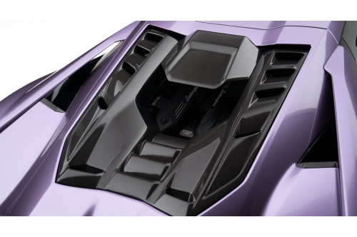 Novitec Osłona silnika Revuelto