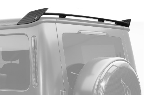 Topcar Tylny spoiler dachowy G W463A