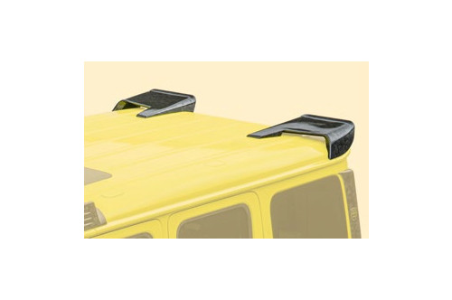 Mansory Spoiler dachowy G W465