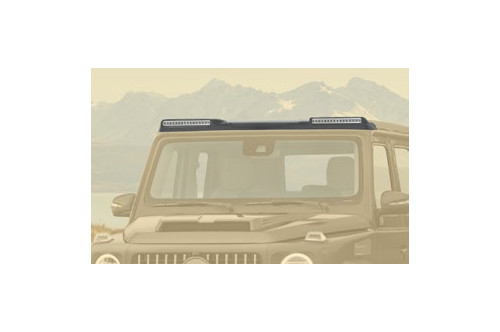 Mansory Spoiler dachowy G W465