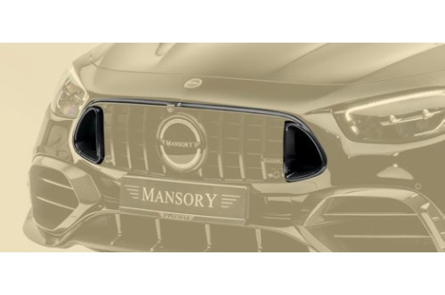 Mansory Grill E 63 AMG W213 i S213