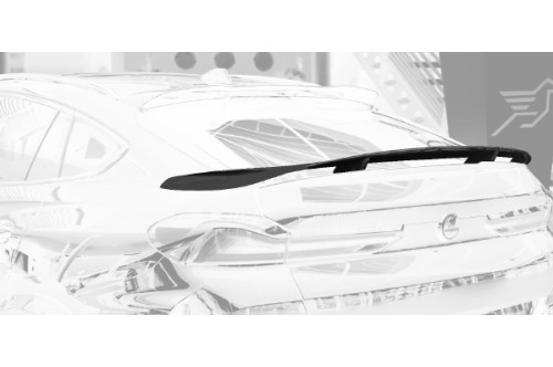 Hamann Tylny spoiler X6 G06