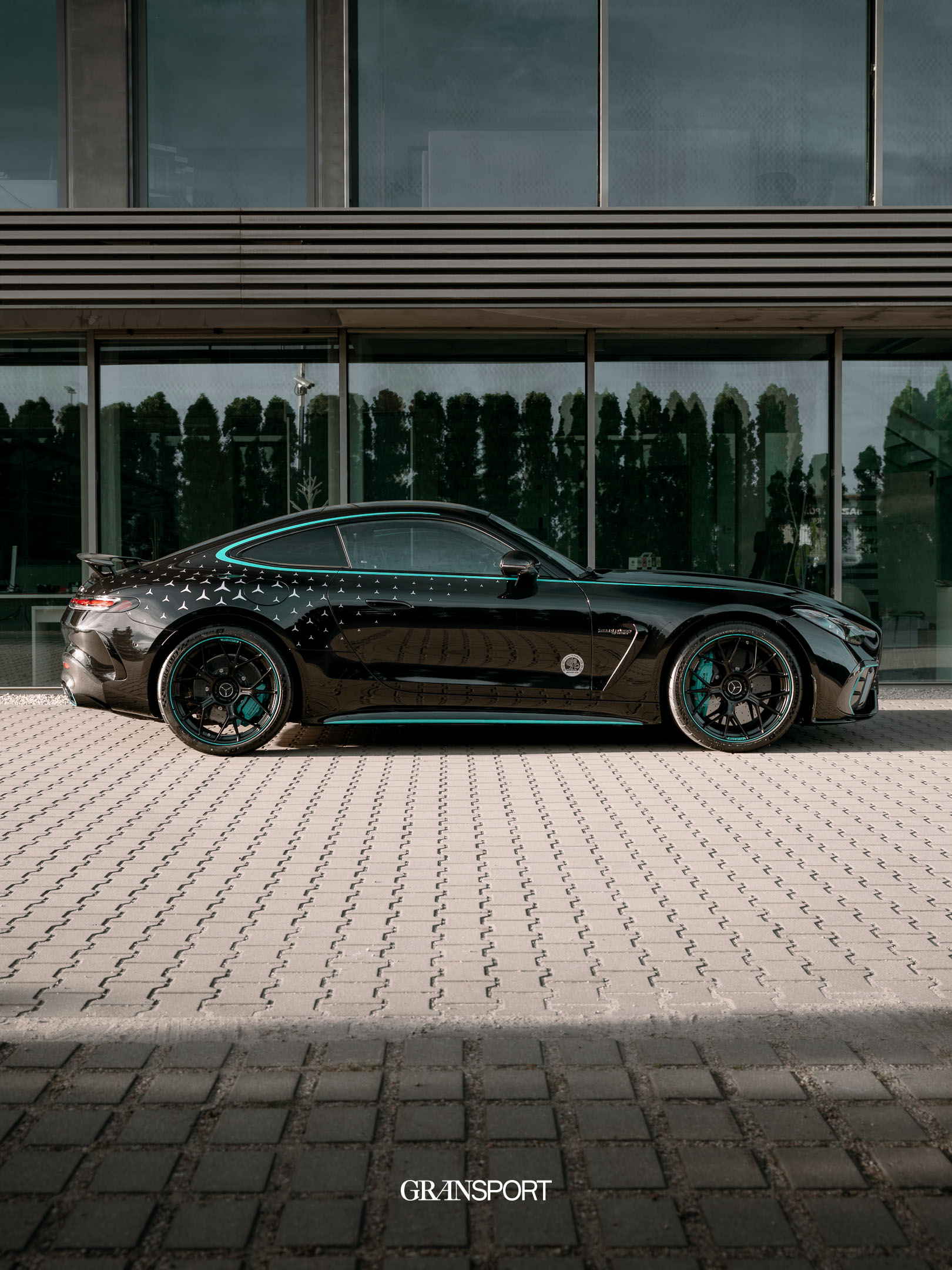 Mercedes AMG GT Pro Motorsport