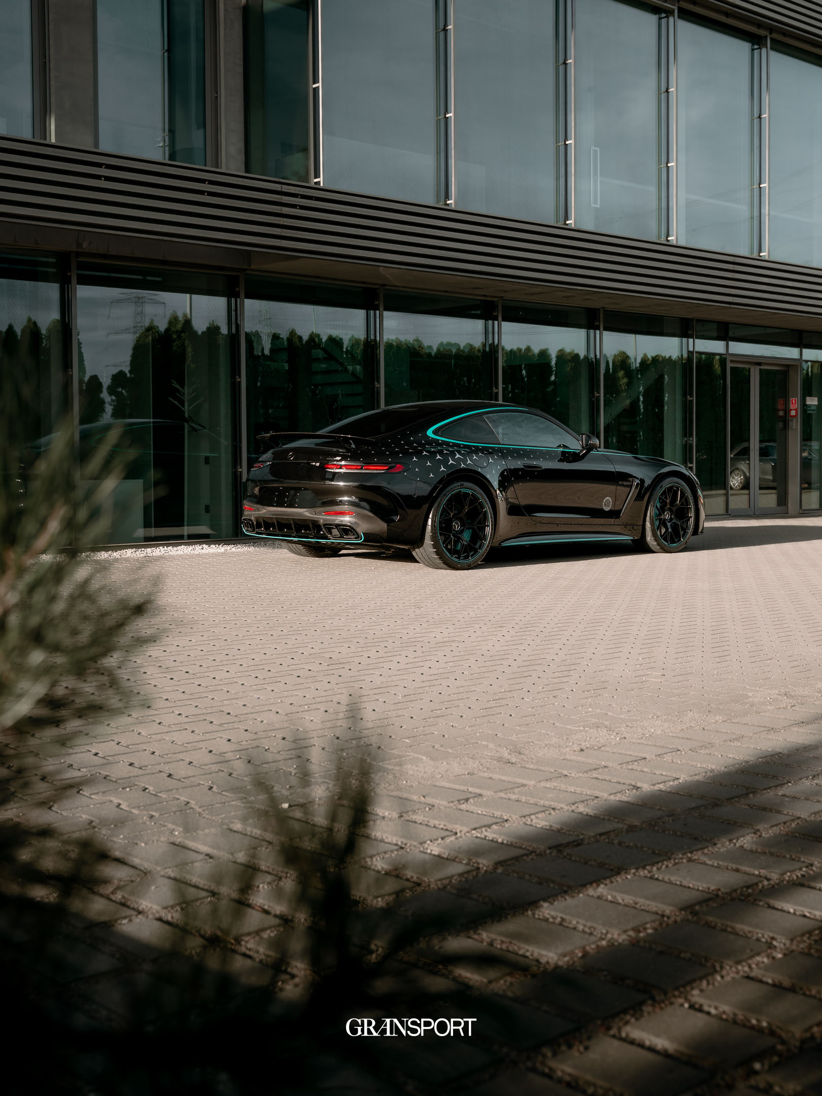 Mercedes AMG GT Pro Motorsport