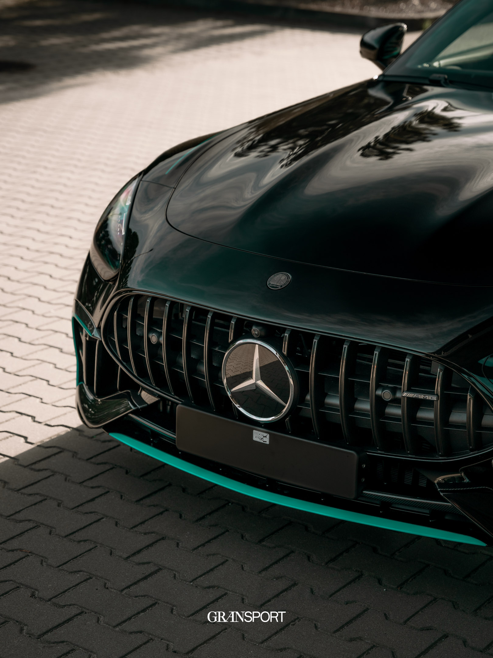 Mercedes AMG GT Pro Motorsport