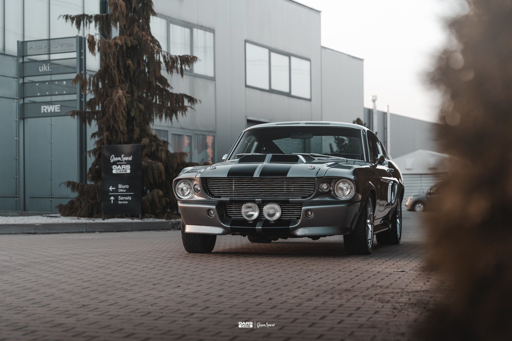 Ford Mustang Eleanor