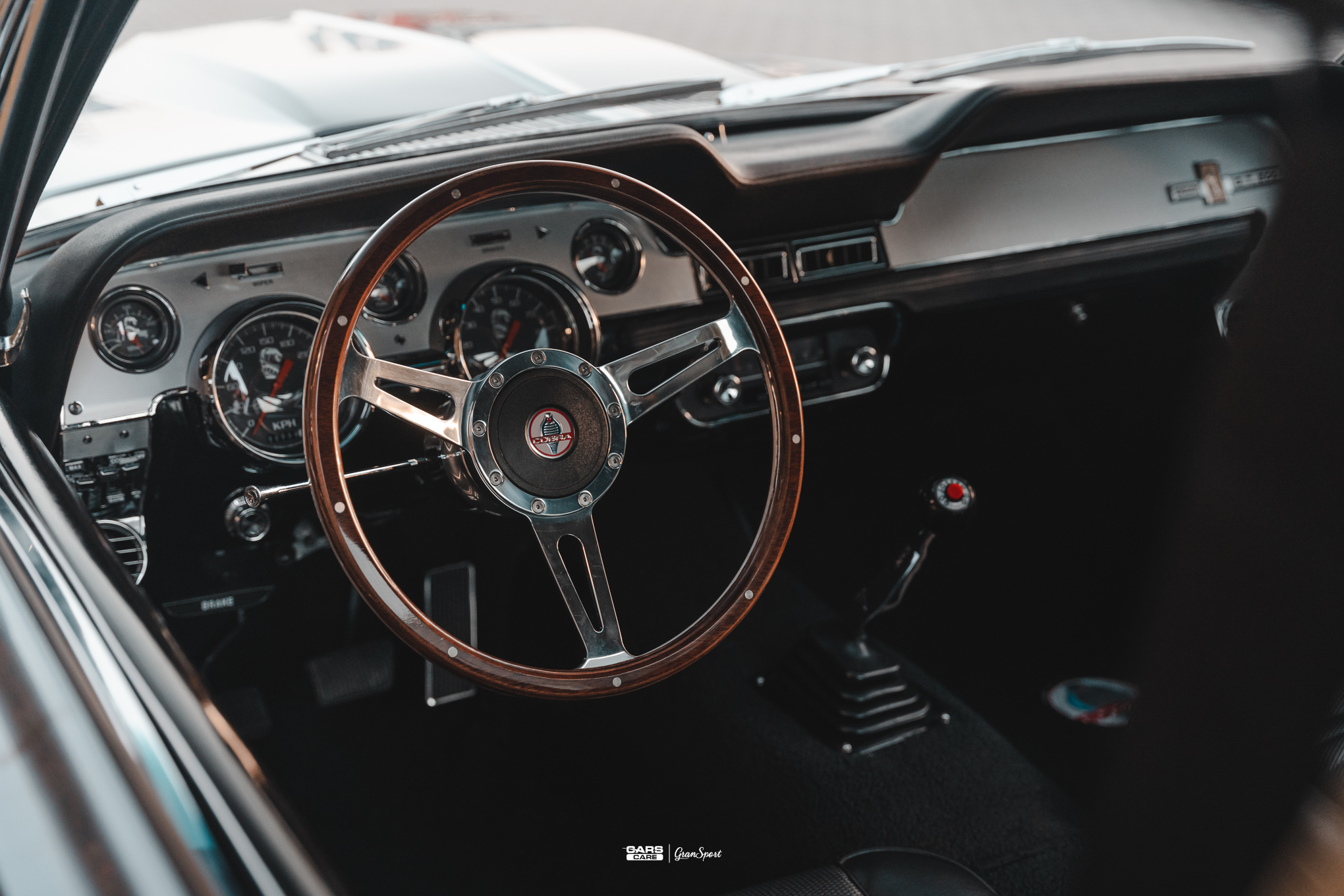 Ford Mustang Eleanor