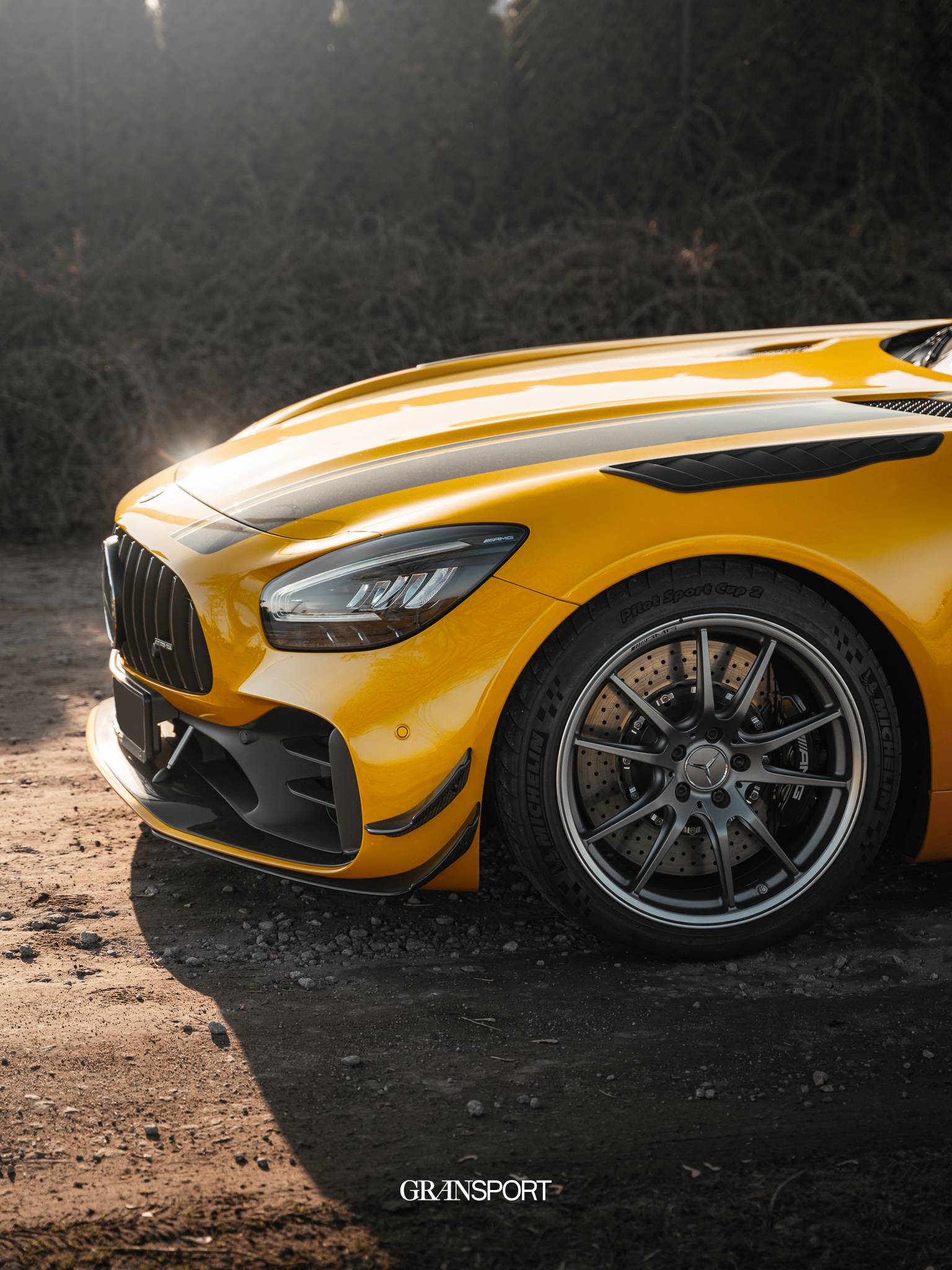 Mercedes-AMG GT-R Pro