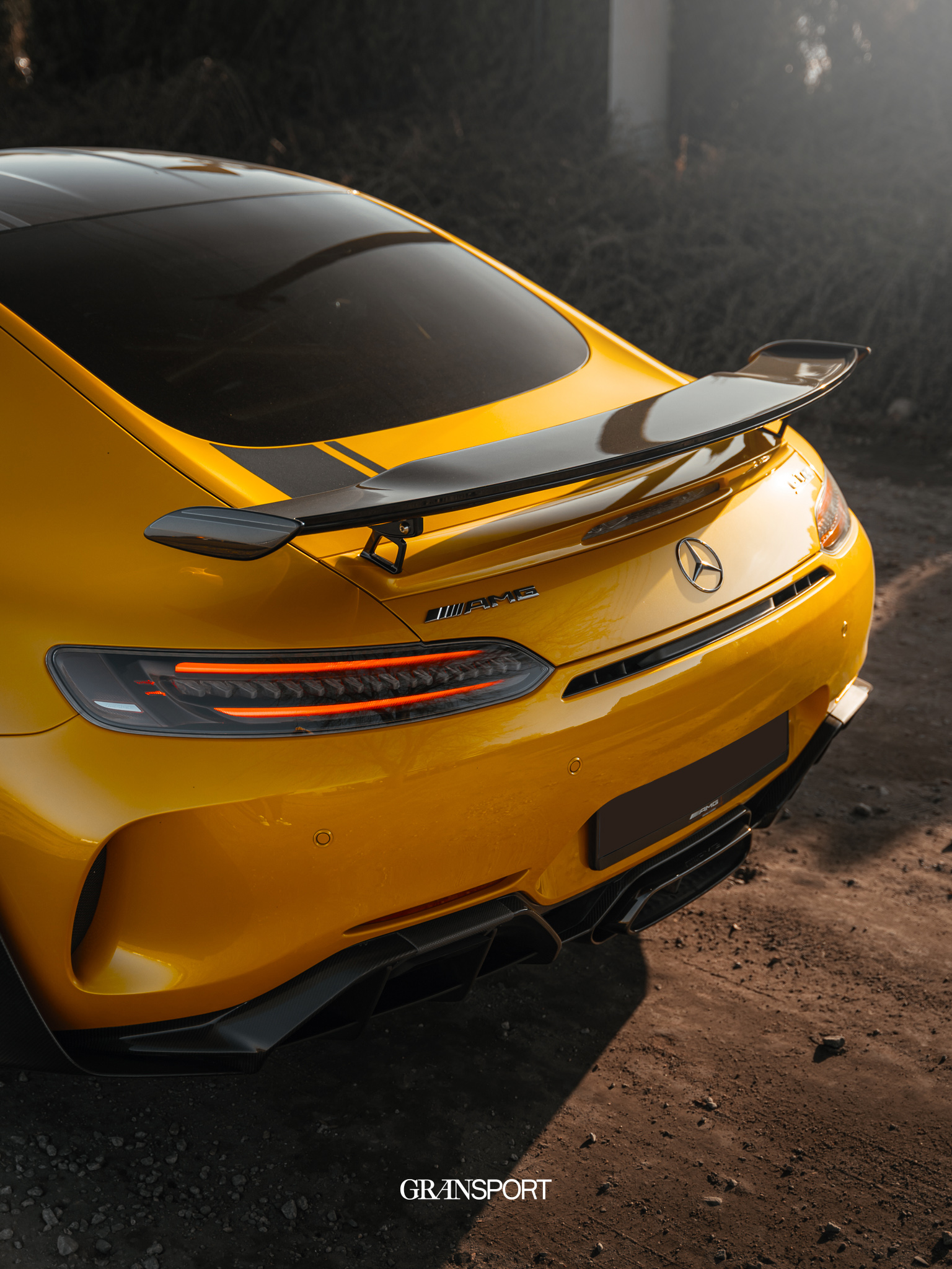 Mercedes-AMG GT-R Pro