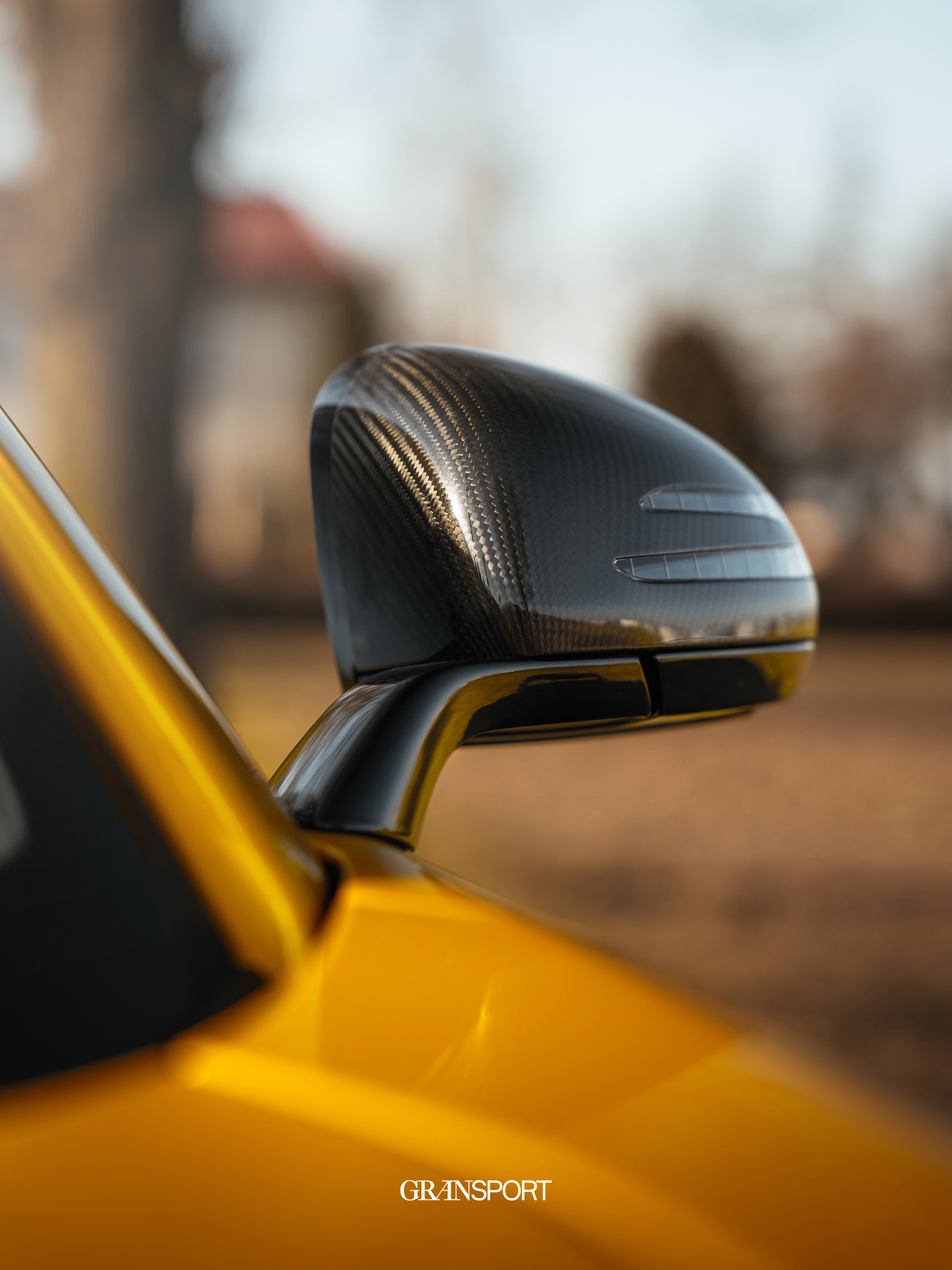 Mercedes-AMG GT-R Pro