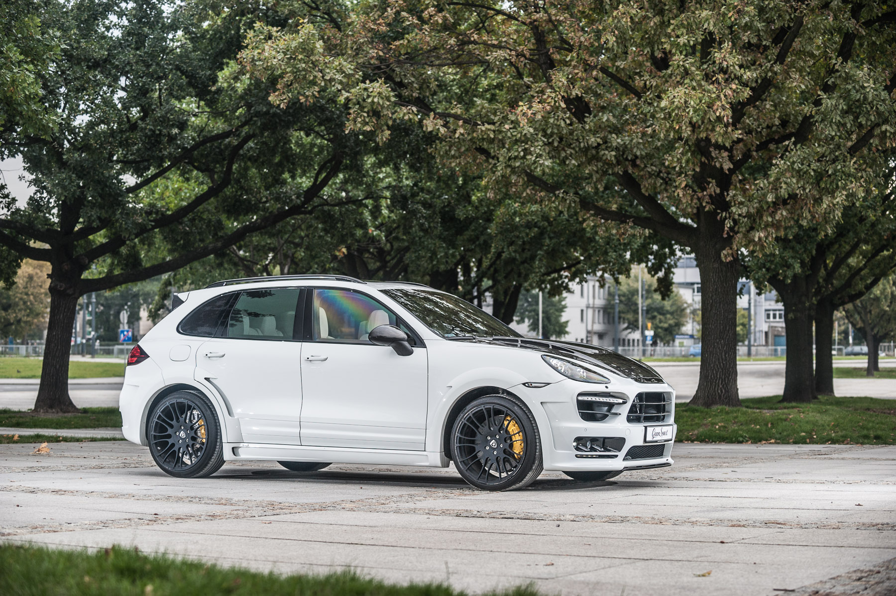 Hamann Guardian EVO