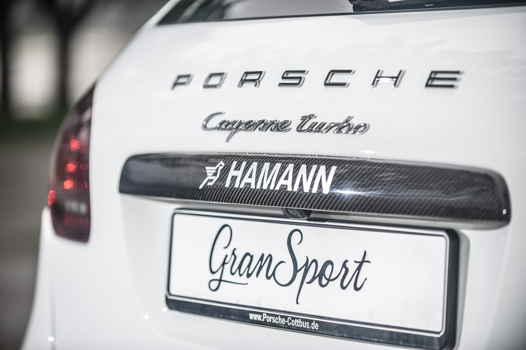 Hamann Guardian EVO