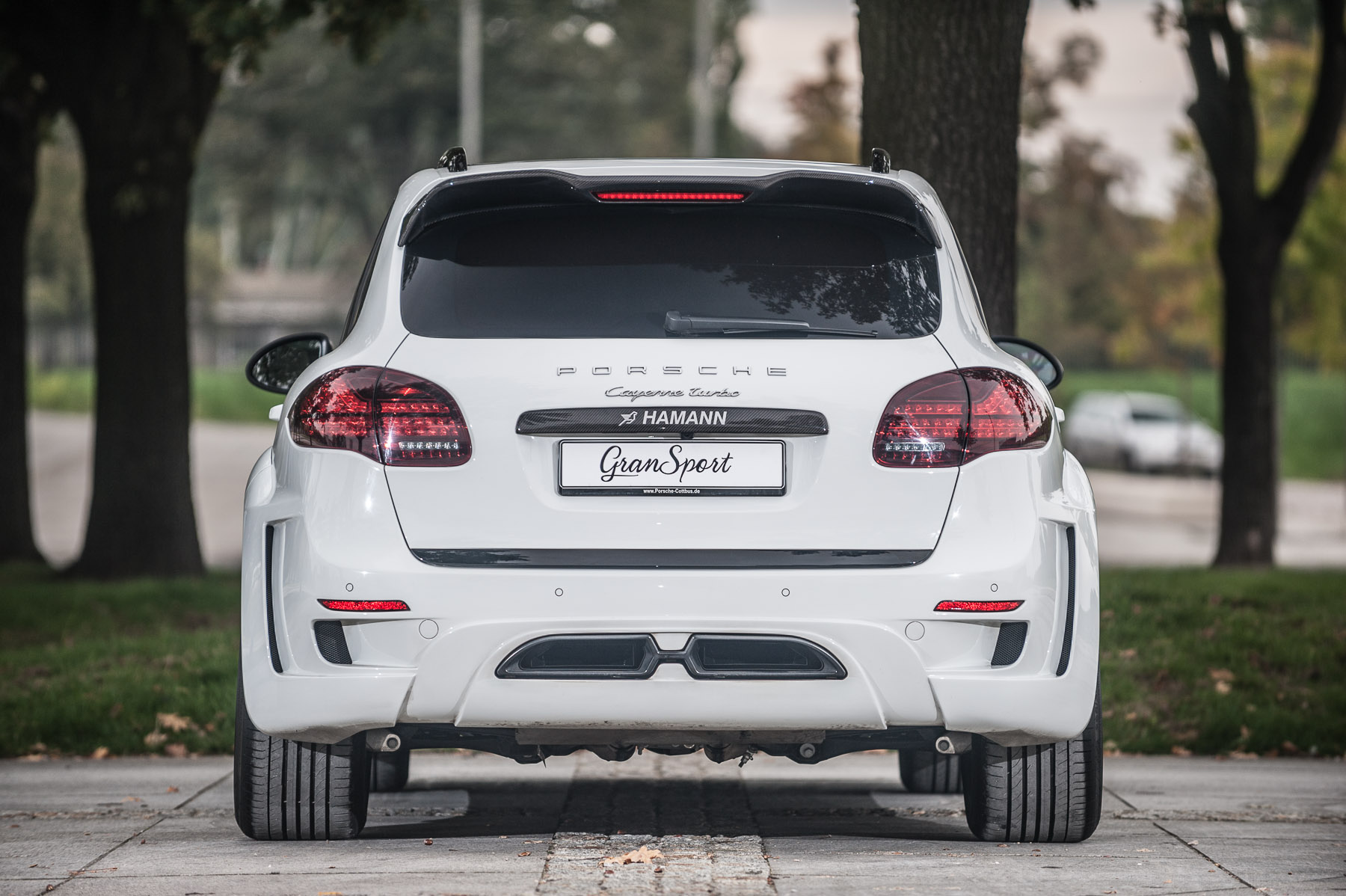 Hamann Guardian EVO
