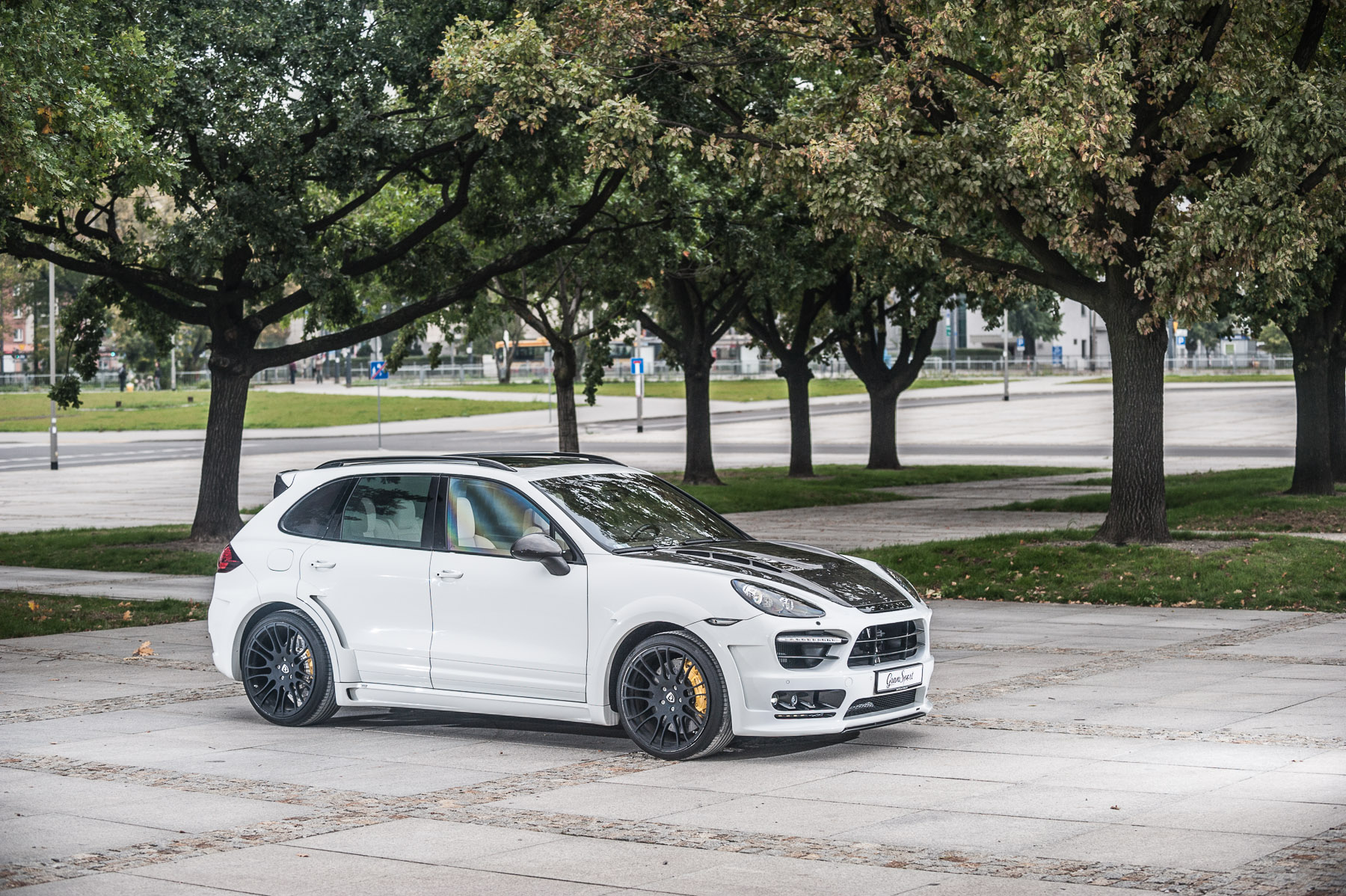 Hamann Guardian EVO