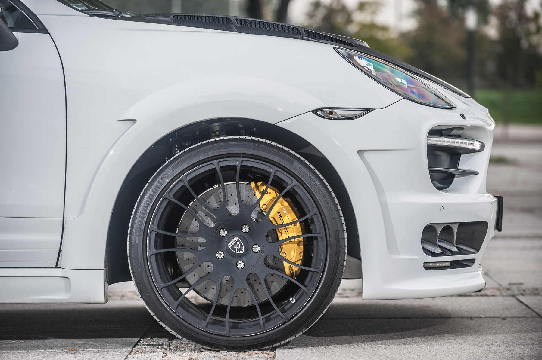 Hamann Guardian EVO