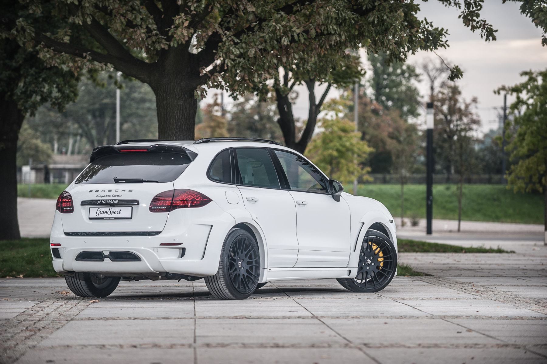 Hamann Guardian EVO