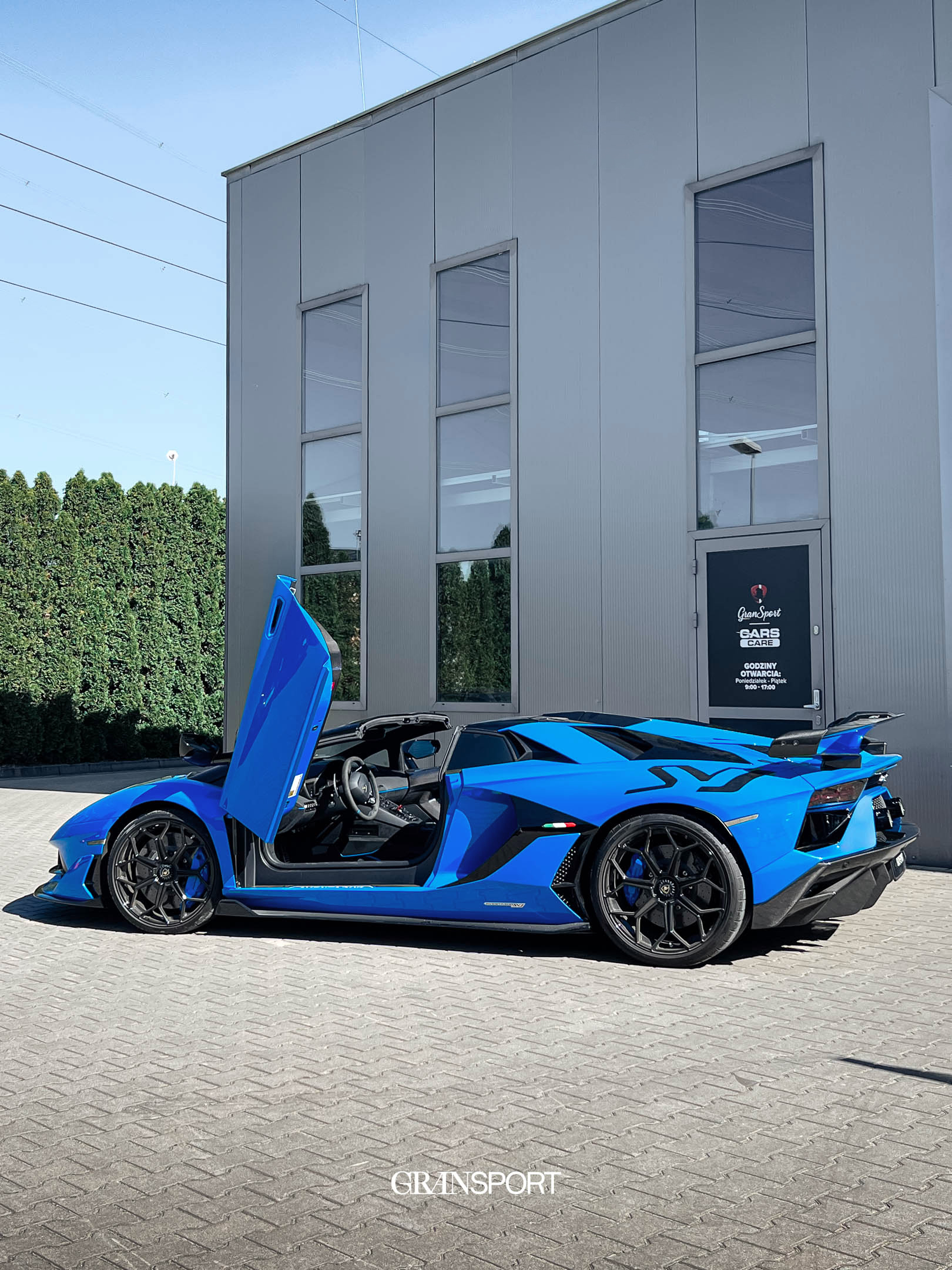 Lamborghini Aventador SVJ Capristo