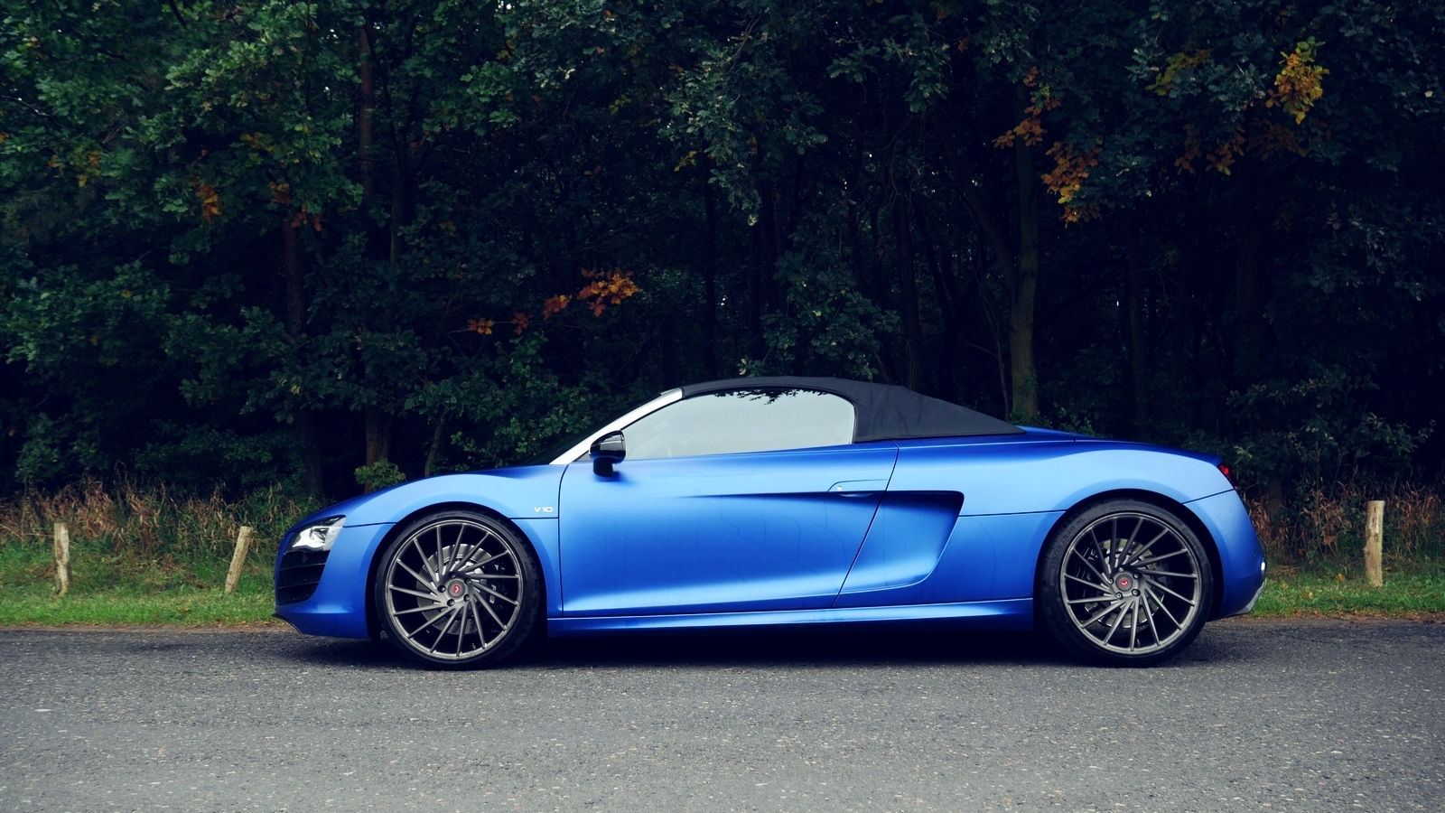 Audi R8