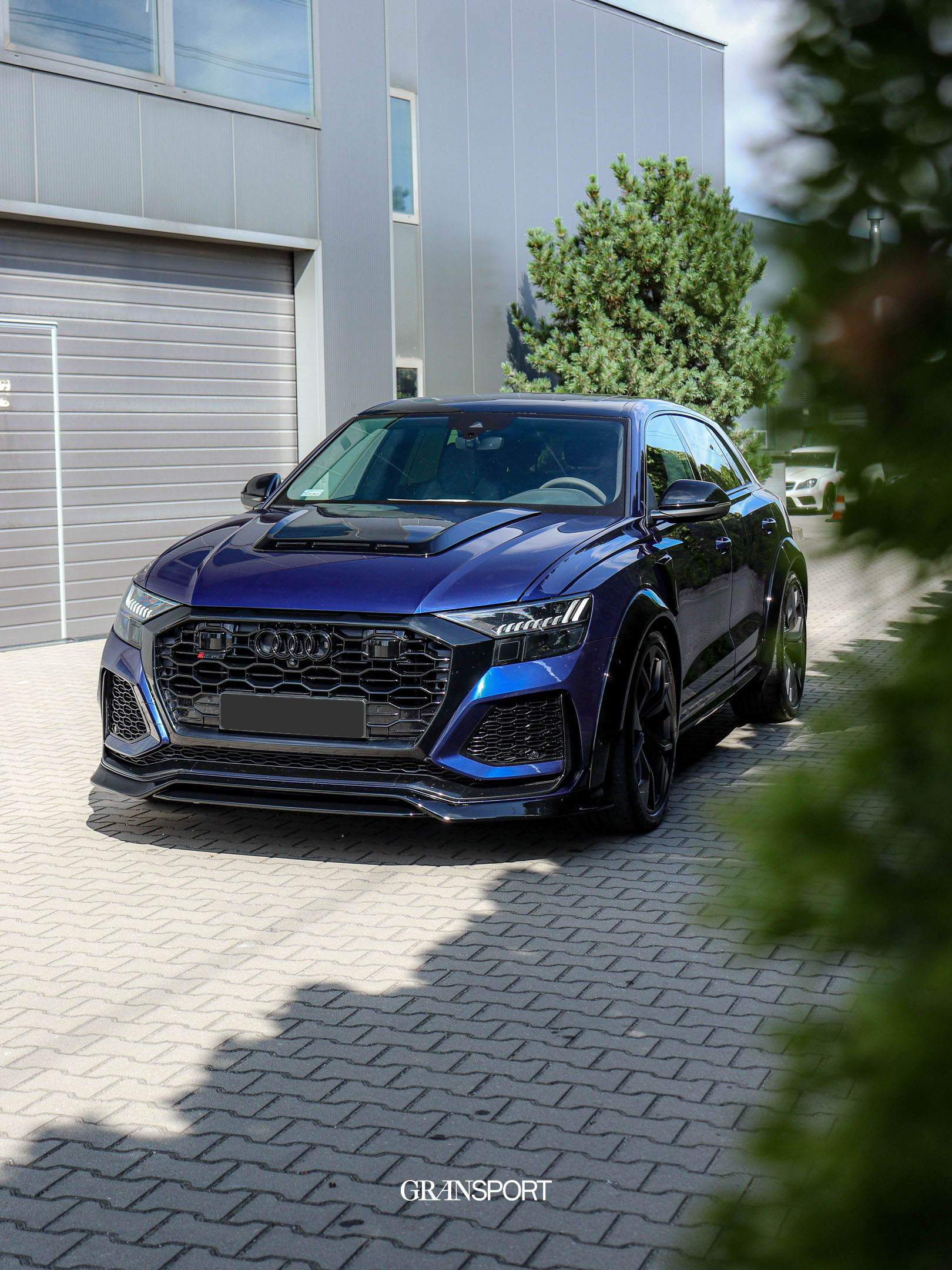 Audi RSQ8 Prior