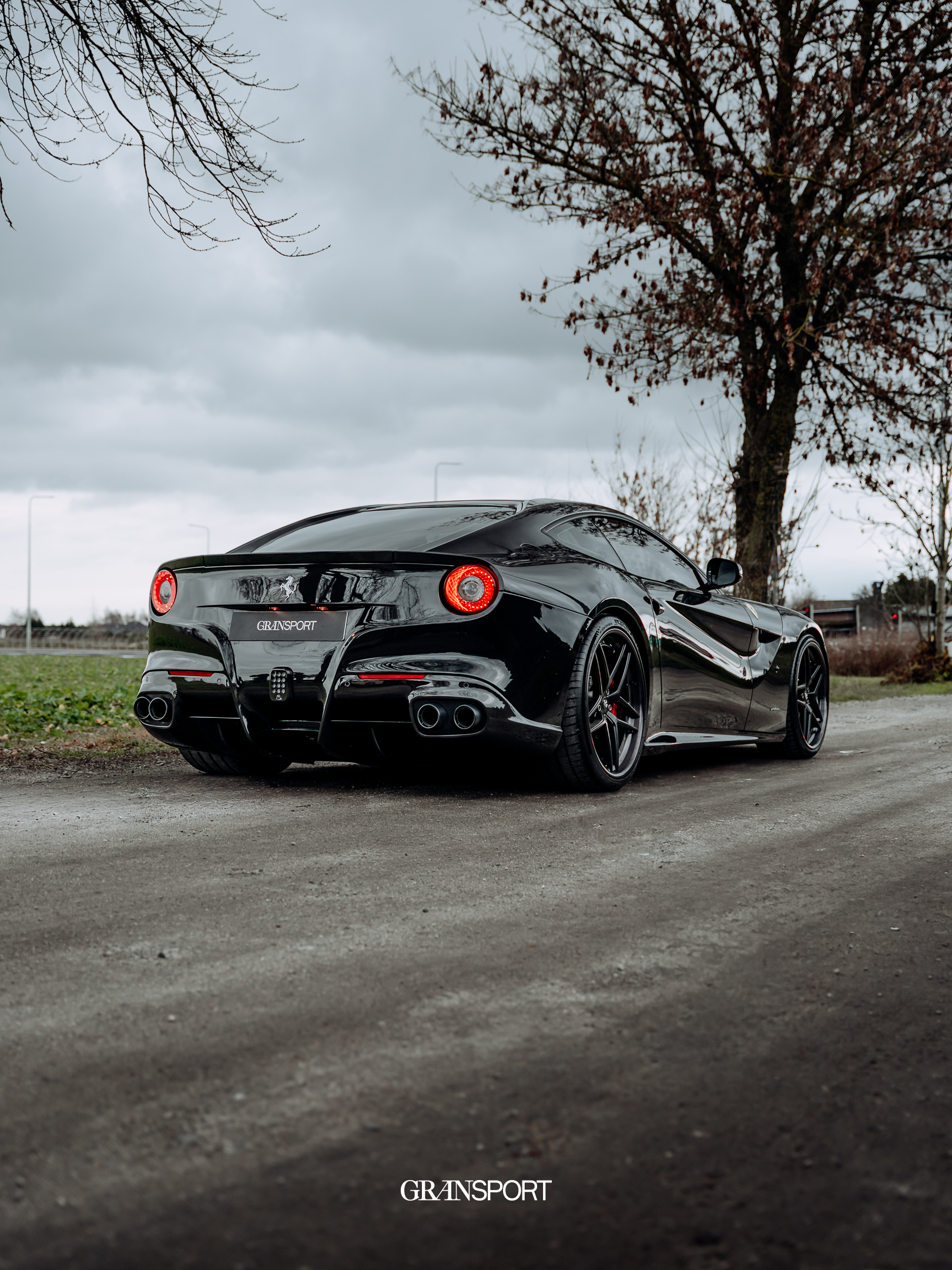 Ferrari F12 Novitec