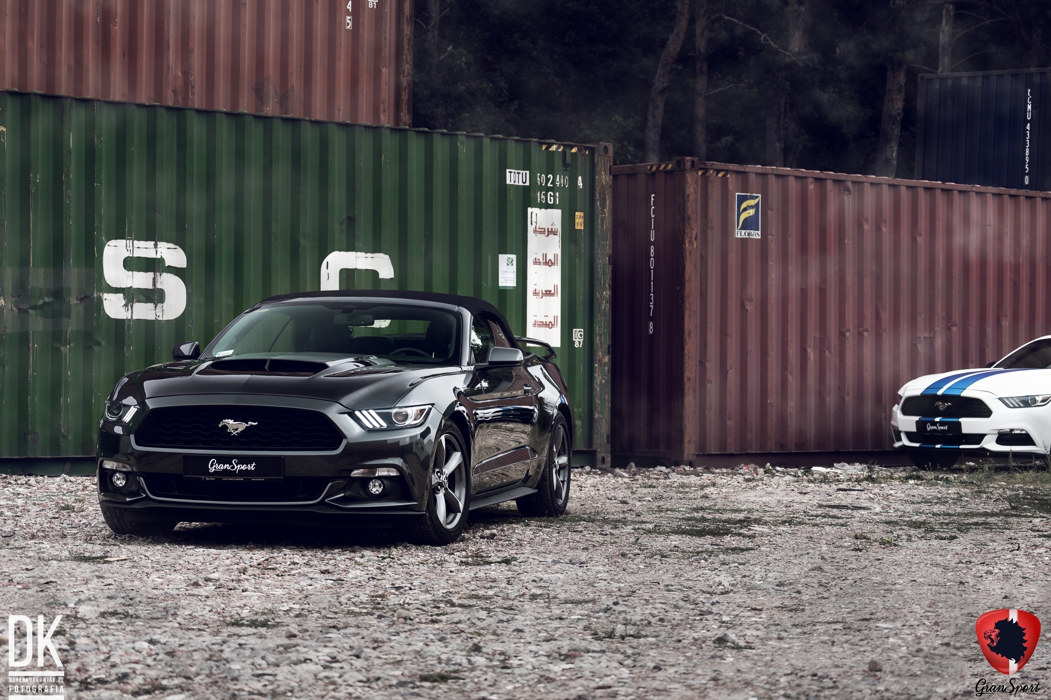 Ford Mustang V6